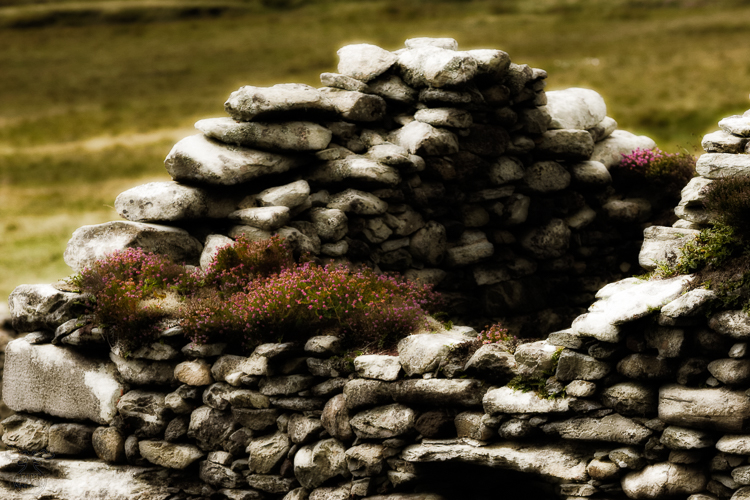 1047 - Abandonded - Verlassen