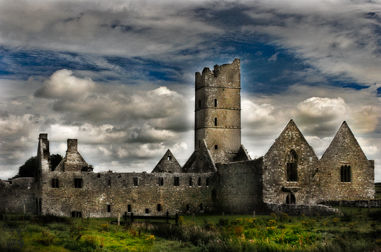 1068 - Remains - Überreste