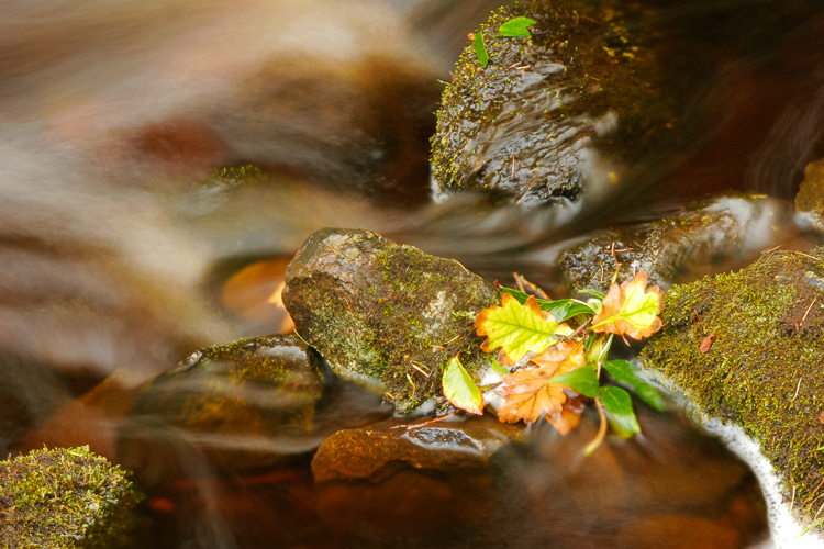 1129 - Smooth waters - -