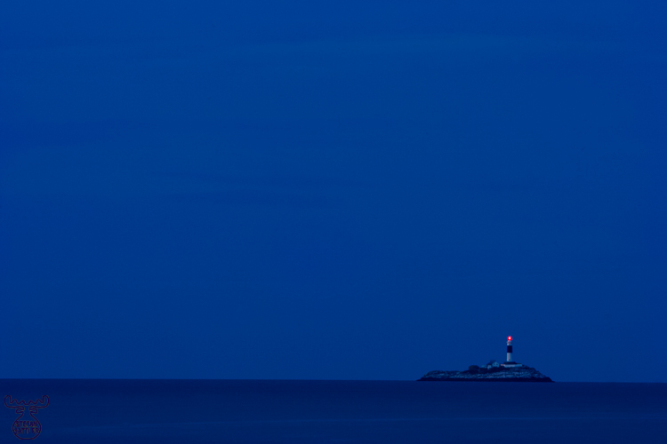 1165 - Far Out - Weit hergeholt