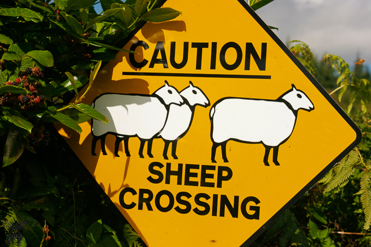 1191 - County specific - Länderspezifisch