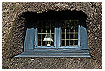  1220 - Thatched roof - Reetdach 