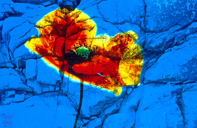 Carved in stone - In Stein gemeiselt