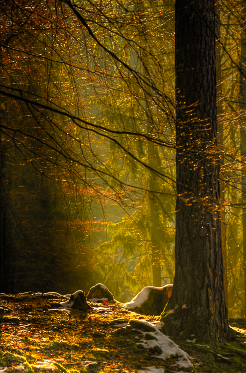 Road to Light - Der Weg zum Licht