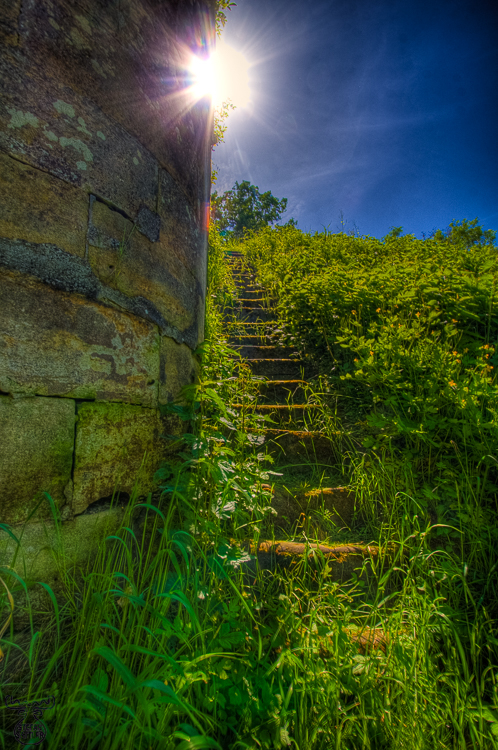 Into the light - Ins Licht