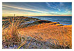  2495 - Sunrise over marram grass - Sonnenaufgang über Dünengras 