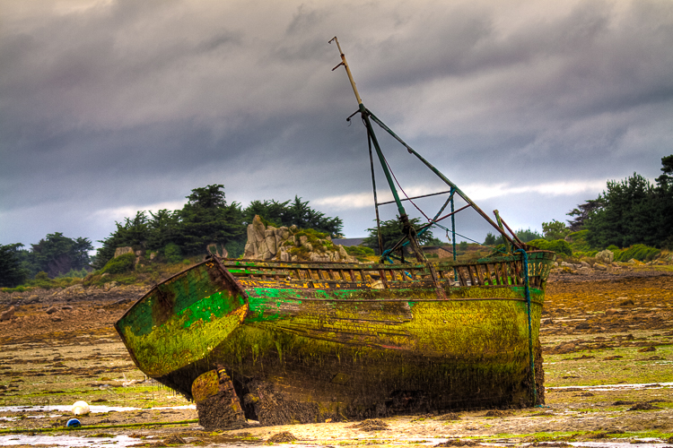 Left to it's own resources -  Sich selbst �berlassen