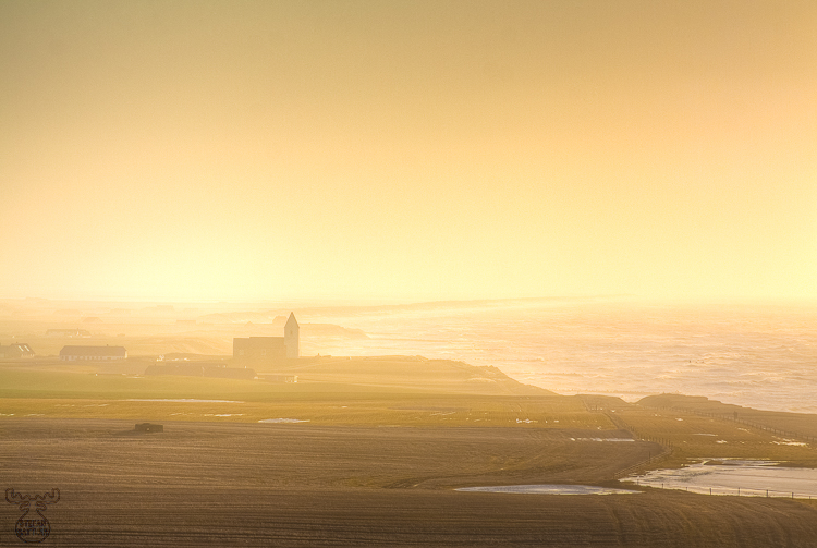 3156 - Winter Haziness - Winterdunst