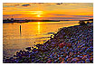  3200 - Hvide Sande Sunset - - 