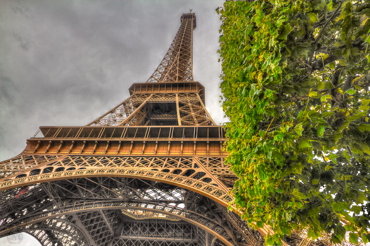 Rising up to the sky