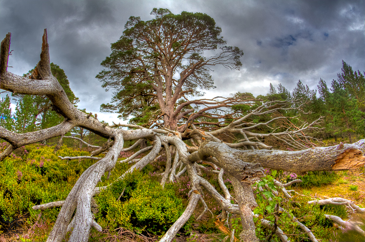 3515 - Reaching out - -