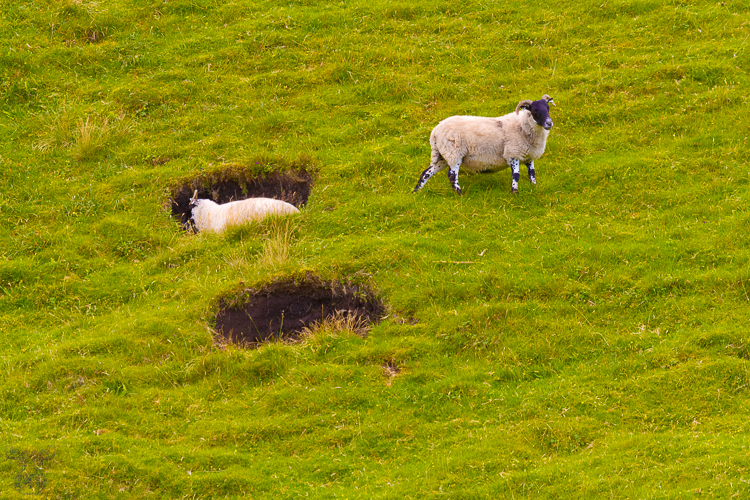 3595 - One in hole - -