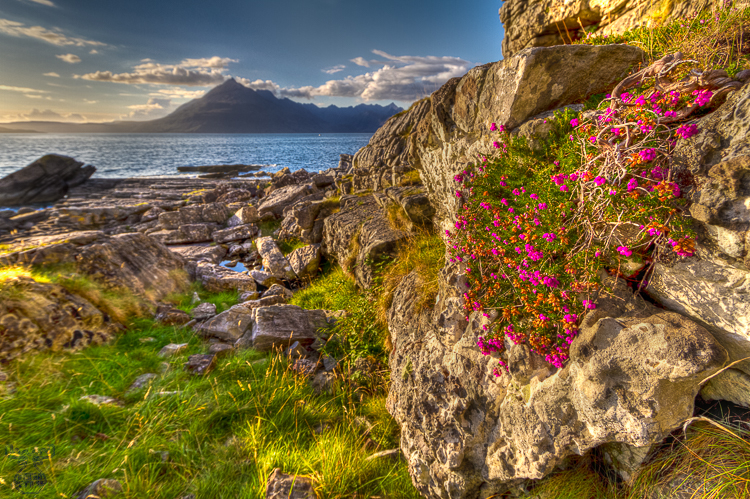 3615 - Not only Sky(e) - -