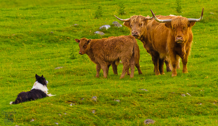 3618 - What's up? - -