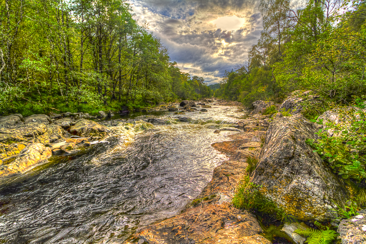 3680 - Dog Falls - -