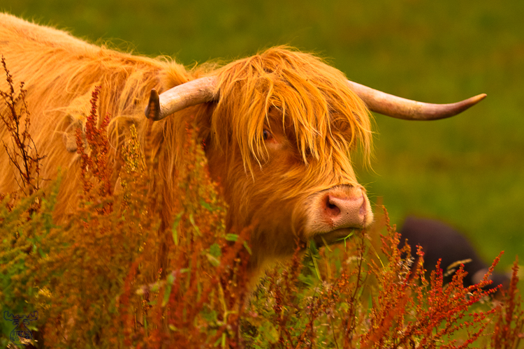 3708 - Somebody there? - -