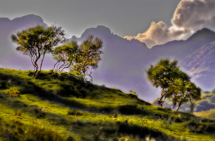 3735 - T(h)reesome - -