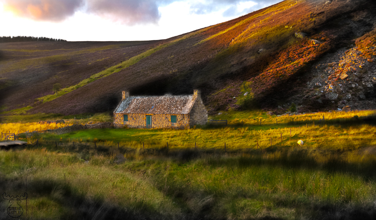 3738 - Forlorn Cottage - -