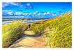  4025 - Late summer North Sea dunes - - 