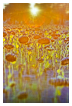  6205 - Sunflowers sunset - - 
