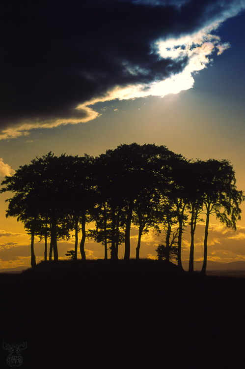 698 - Solar Twilight - Sonnendämmerung