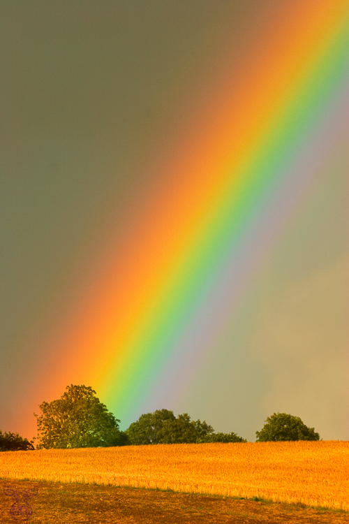 761 - Pot of Gold - Ein Topf voller Gold
