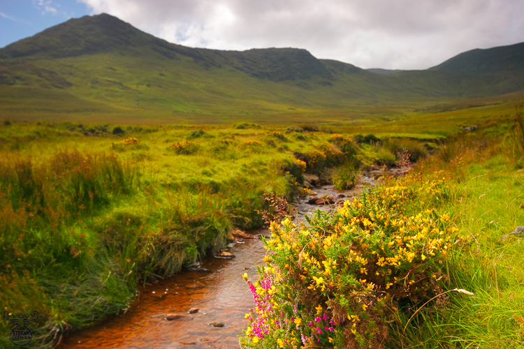 808 - Inny Valley Idyll - -