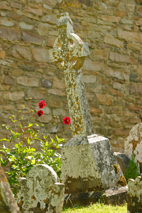 810 - Abbey Cross - -