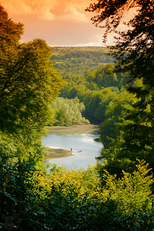 882 - Island View - -