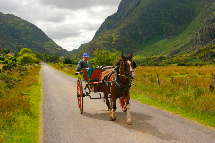 930 - Gap of Dunloe Coach - Kutsche im Gap of Dunloe