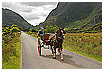  930 - Gap of Dunloe Coach - Kutsche im Gap of Dunloe 