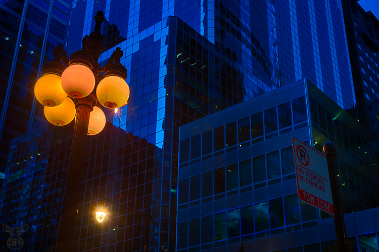 9989 - All Contrast - -