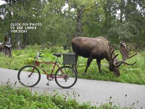 Click to see large version.