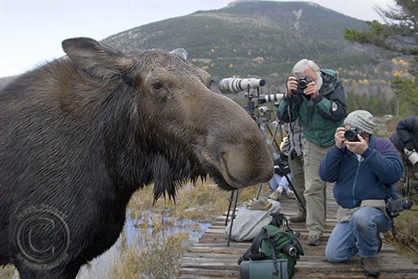 Mark Picard's Photpgraphy Workshops