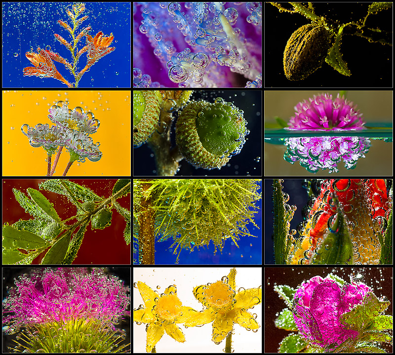 Bubble World - Kalender &Uuml;bersicht