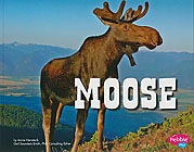 Moose