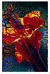  123 - Flora exsolva - - 