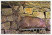  1382 - Misapplication - Missbrauch 
