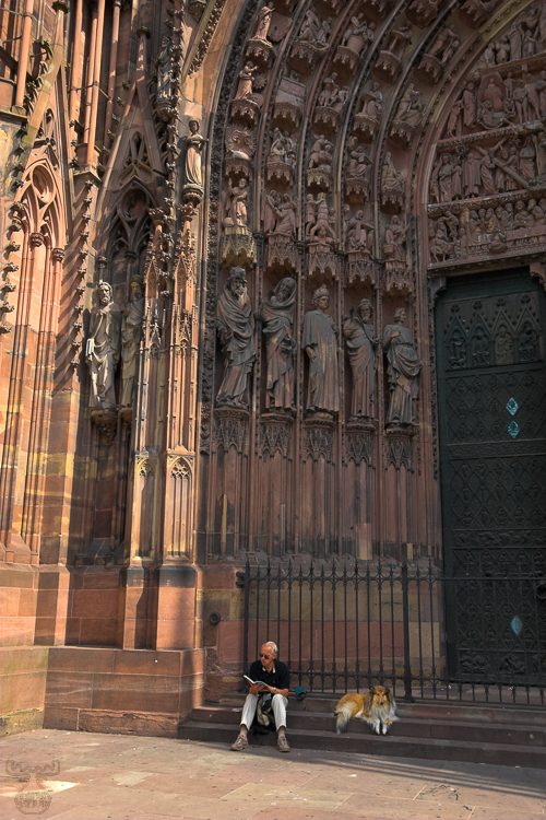 1447 - Reading - Lesen