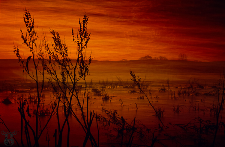 160 - Fire Pond - -
