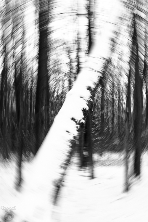2581 - Round the tree - -