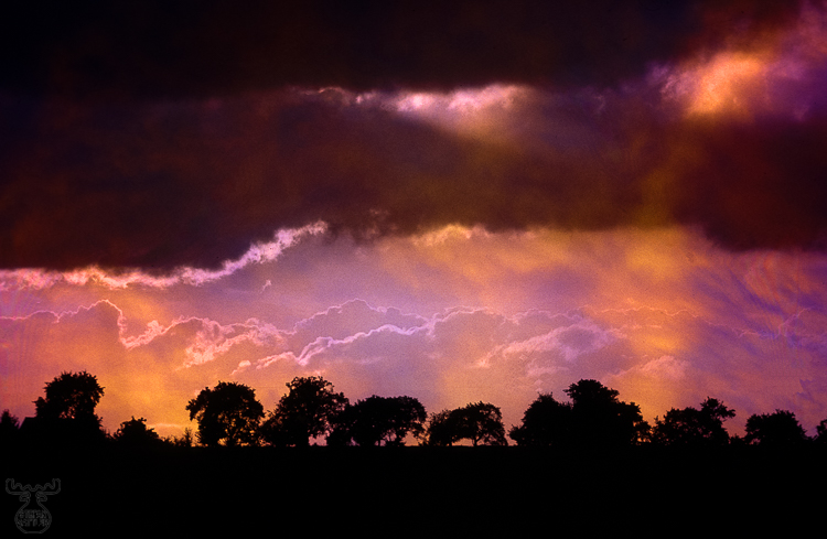 259 - Atmosphere of storm - Gewitterstimmung
