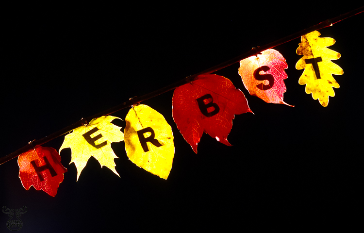 279 - Autumn - Herbst
