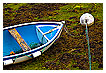  2853 - Low tide - Ebbe 