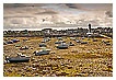  2854 - Roscoff - - 