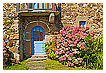 2996 - Hydrangea and stone - Hortensien und Stein 
