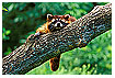  468 - Hanging around - Durchhänger 
