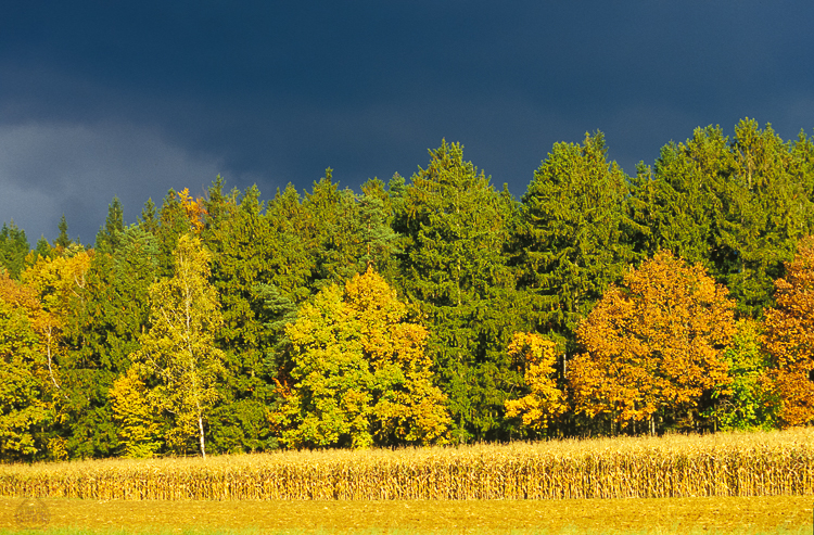 578 - Thundery Autum - Herbst Gewitter