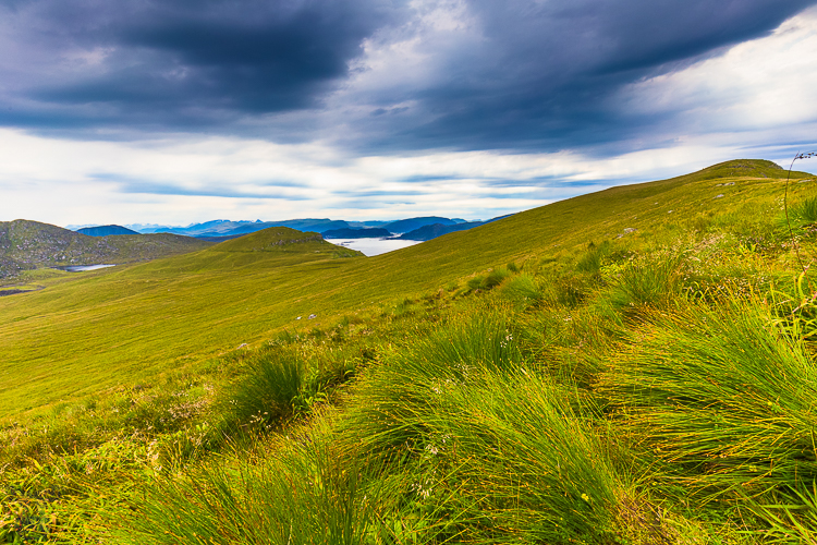 7212 - Runde Triangels - -