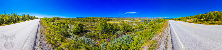7405 - Dovrefjell Street Horizon - -